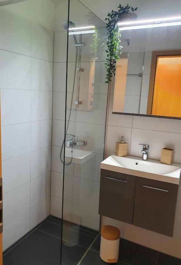 Modernisierte Ferienwohnung Naturseelen Mit Schwimmbad Und Sauna Braunlage Esterno foto