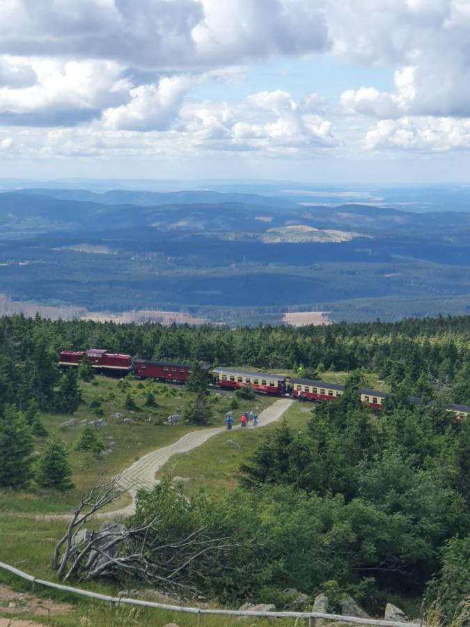 Modernisierte Ferienwohnung Naturseelen Mit Schwimmbad Und Sauna Braunlage Esterno foto