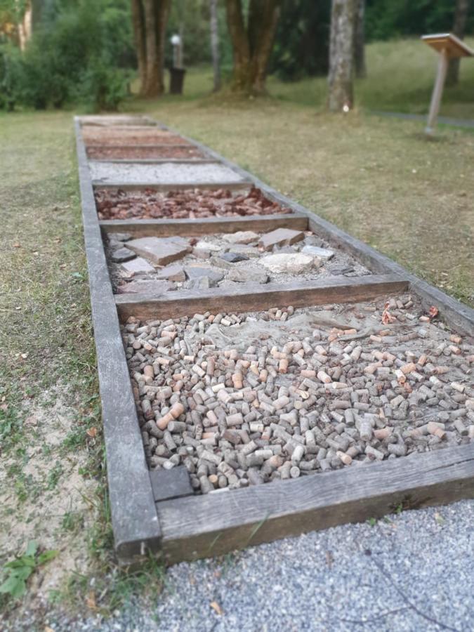 Modernisierte Ferienwohnung Naturseelen Mit Schwimmbad Und Sauna Braunlage Esterno foto