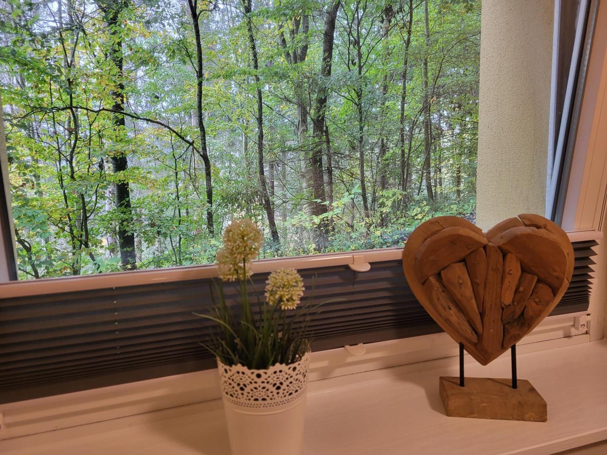 Modernisierte Ferienwohnung Naturseelen Mit Schwimmbad Und Sauna Braunlage Esterno foto